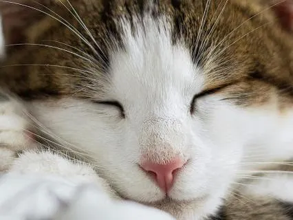 I Can Take Time To Rest | Let Go | Long Version