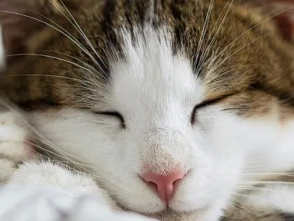 I Can Take Time To Rest | Let Go | Short Version