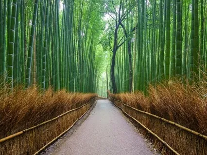 "I Can Trust Myself"  Guided Meditation