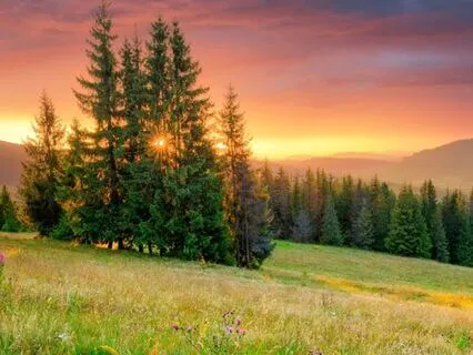 Contemplating Tranquility - Tao Wisdom - I-Ching 11