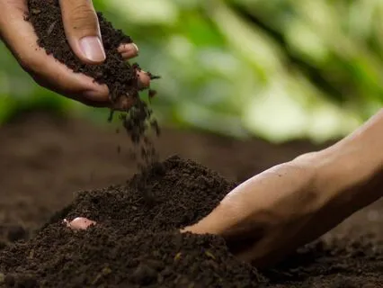 Contemplating Being Receptive - Tao Wisdom - I-Ching 2