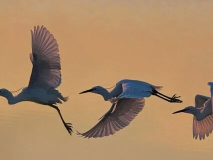 Contemplating 'The Army' - Tao Wisdom - I-Ching 7