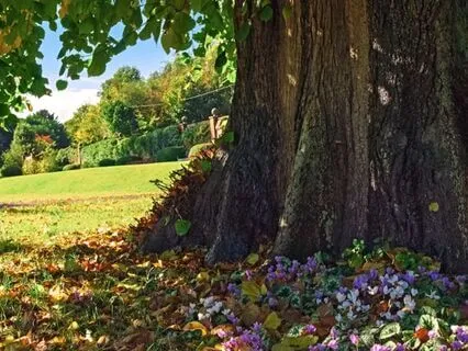 I-Ching Reading For January 2025