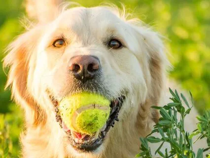 I-Ching Reading For June 2025 - Tao Wisdom