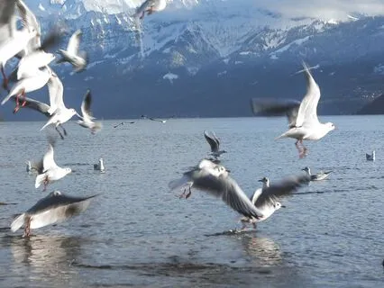 I-Ching Reading For October 2024