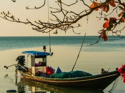 I-Ching Reading For September 2024