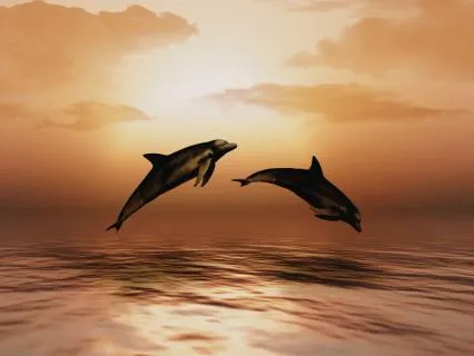 I-Ching & Tao Guidance For April 2026