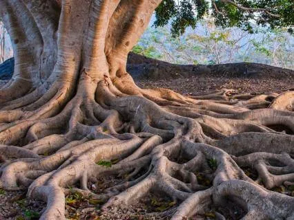 I-Ching & Tao Wisdom For February 2026