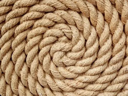 I Choose Let Someone Or Something Go Stand In My Power