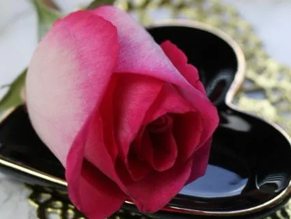 I Choose Me | Self-Love & Empowerment