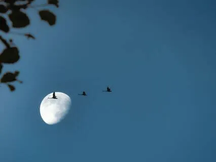 I Close My Eyes In Gratitude - Bedtime Poem