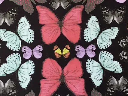 I Connect To The Butterfly 