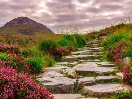 I Couldn't Have Predicted This EFT Tapping Meditation