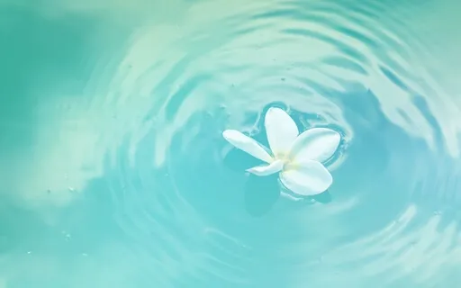 I Deserve Meditation