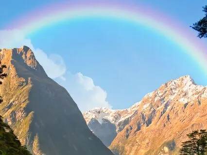 I Did: A Poetic Process