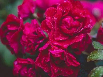 IDK How To Move Forward - Help To Know What To Do Next