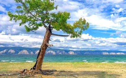 I Don't Chase I Attract Affirmations | 10 Minute Manifestation