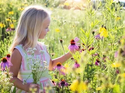 I Dream Of Flower Meadows - Sweet Harp & Birdsong
