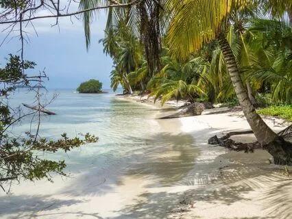 I Dream Of The Perfect Beach