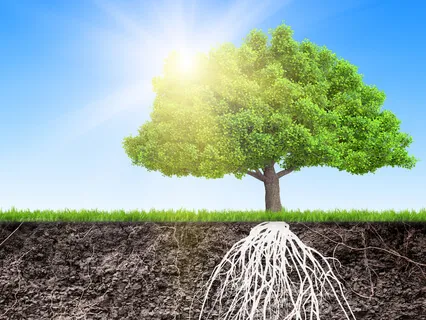 Positive Affirmation For Prosperity