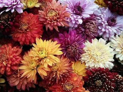 I Feel Stuck - Help To Get Things Moving Forward