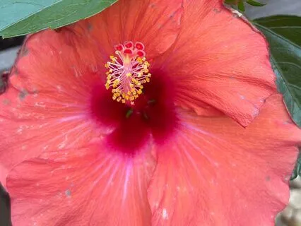 Scrolling Has Increased My Procrastination