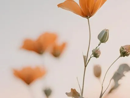 I Forgive My Human Family | Including My Whole Story