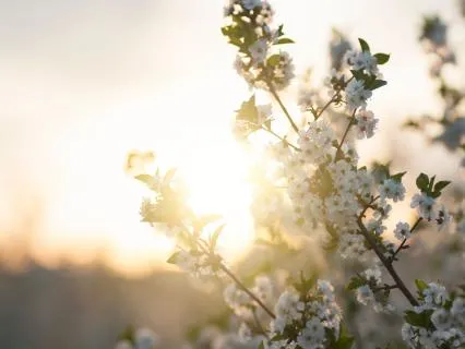 I Forgive My Spirit Self | Returning To Connection