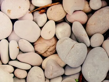 I Forgive Myself For Hating My Body