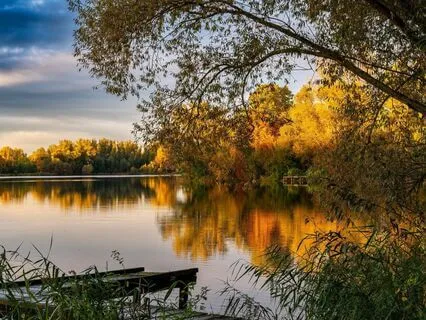 I Give My Attention: A Psalm Of Mental Strength