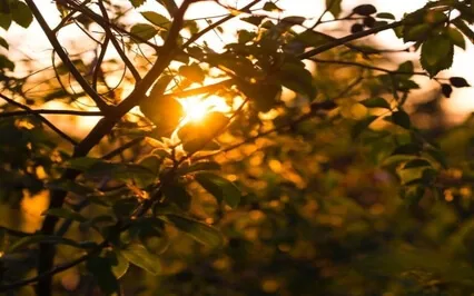 I Give Myself Permission (Part 1) 