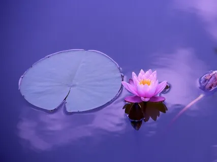 I Got Into An Argument And Wasn't Able To Separate Myself As The Witness From The Drama