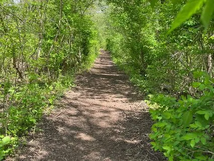 I Had A Stressful Day