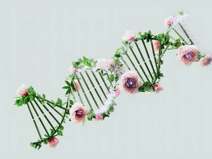 I Have Goddess DNA: Subliminal & 12D Reiki