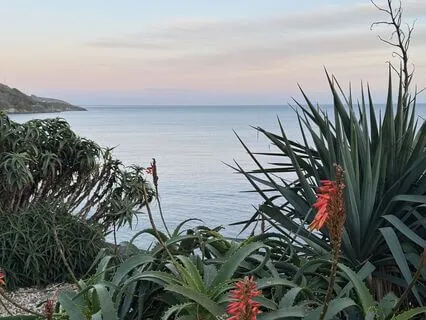 I Have Life Morning Meditation And Breath Awareness