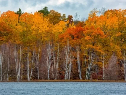 I Have My Own Unique Value - Day 13