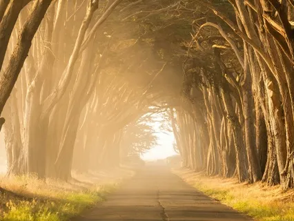 I Hope You Find Your Way (Poem)