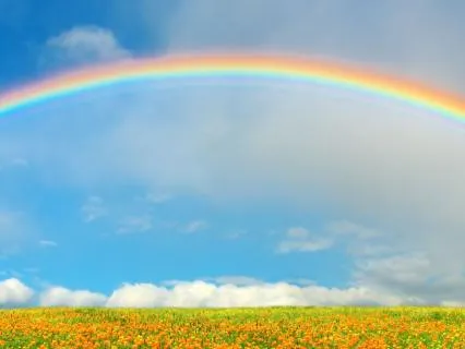 I Just Want To Love This Life