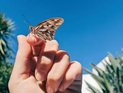 I Let You Go