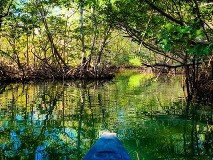 I Love It All - Vitality Sound Journey On A Canoe