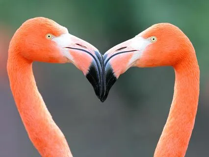 I Love My Life : Inspired By The Song