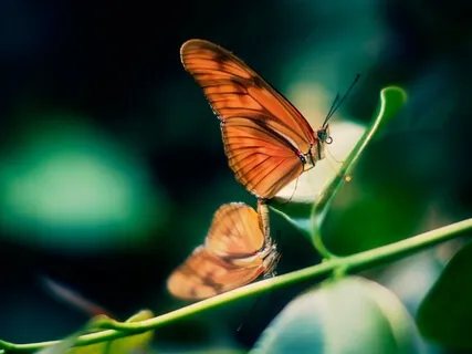 I Love Myself - Healing Self Love Sleep Meditation