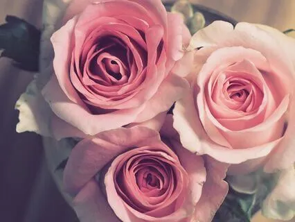 I Love Myself - Mini Mindfulness Series