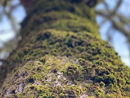 I Love You: A Breath Meditation