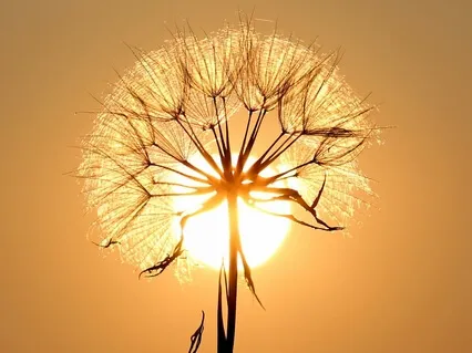 "I Love You" Meditation