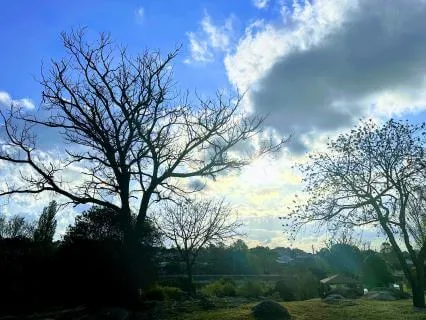 I Love You, Please Forgive Me, I Am Sorry, Thank You | Sleep