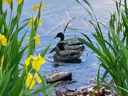 I Love Your Sanctuary