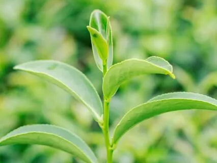 I'm Doing What Makes Me Happy