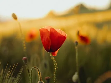 I'm Forgiving Myself