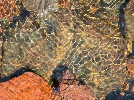 I'm Gonna Die Someday (Stop, Drop And Feel Edition)